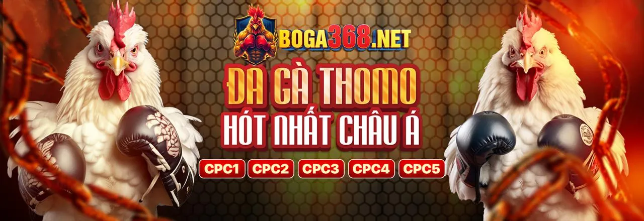 Hoàn trả hàng ngày FC88